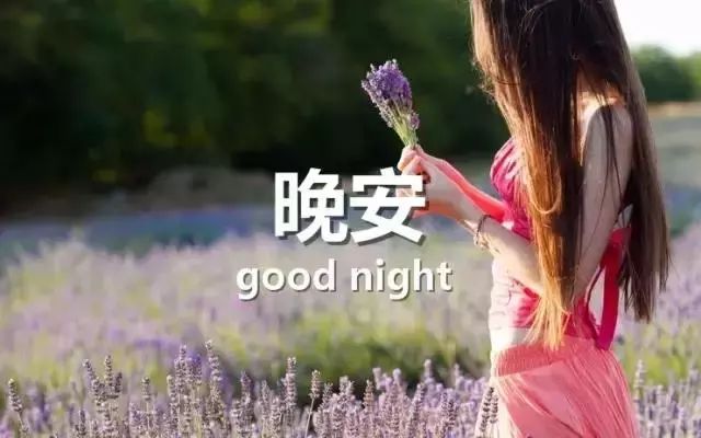 陽光下的溫馨日常，最新心情分享