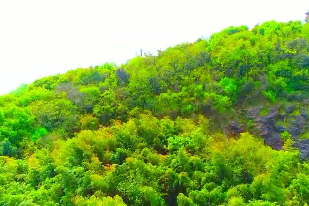 最新光棍影院，自然美景的心靈之旅