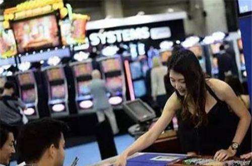 揭秘澳門(mén)一肖一碼伊一特一中：如何穩(wěn)贏不賠