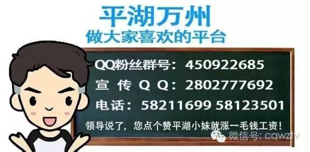 新澳門資料大全2024年免費下載實用指南