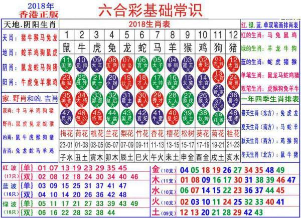 生肖卡實用指南：澳門正版資料大全必備