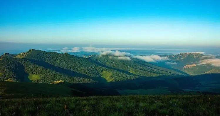 赤峰市林業(yè)局綠色之旅，探索自然美景，尋求內(nèi)心平靜的最新動態(tài)