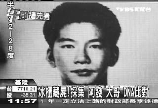 廣東省茂名最新殺人案深度剖析，悲劇背后的真相與反思