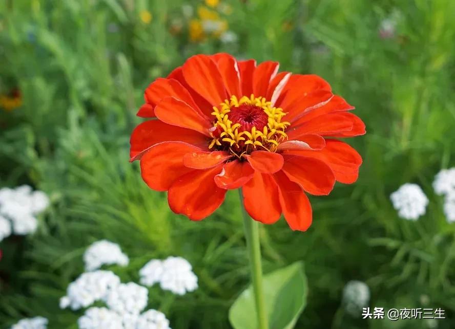 沙漏電影最新動(dòng)態(tài)，一切盡在此刻！