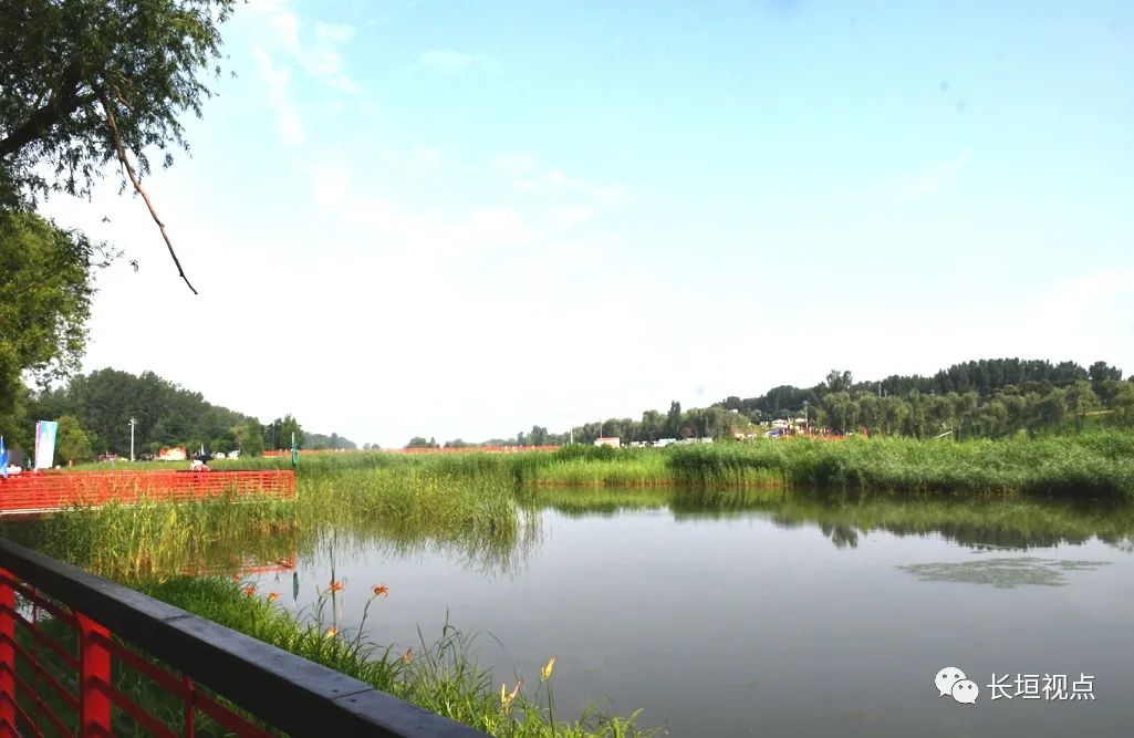 長葛濕地公園最新動態(tài)揭秘，最新消息一覽無余?