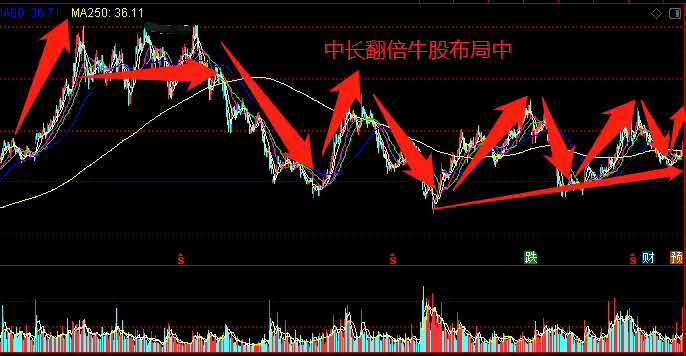 霸王集團(tuán)股票動(dòng)態(tài)，最新消息引領(lǐng)自信與成就，共筑夢(mèng)想之路！