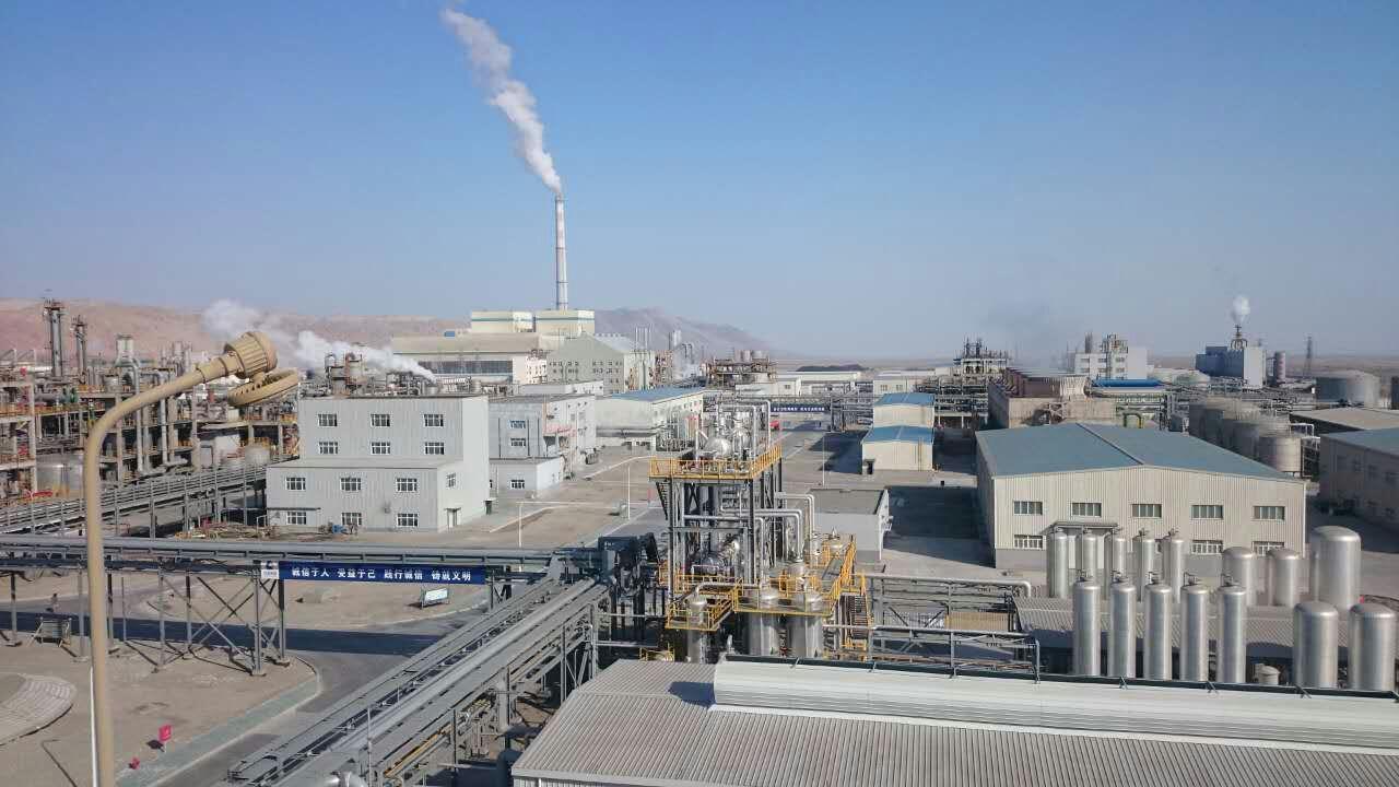 中泰化學最新消息股吧，全面解讀與詳細步驟指南