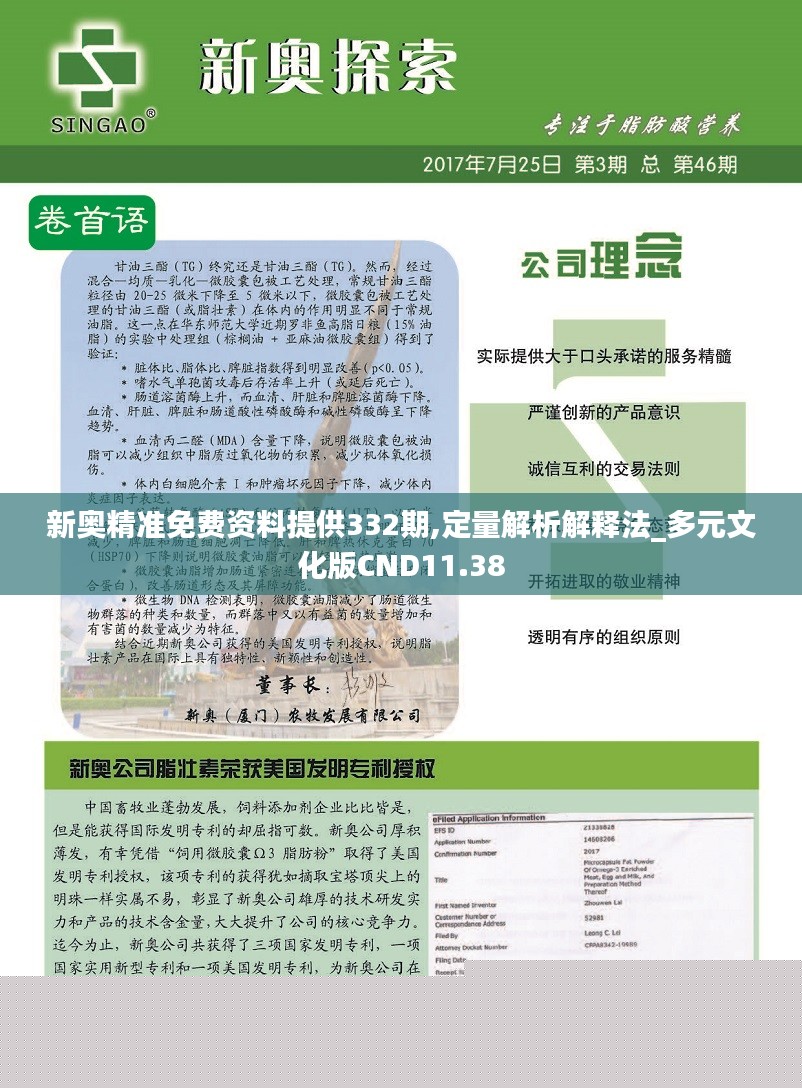 新奧精準(zhǔn)免費(fèi)提供網(wǎng)料站,定量解析解釋法_套件版95.523