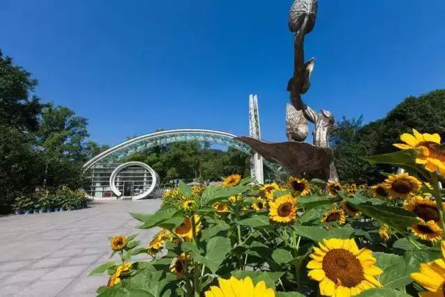 廈門植物園最新探索之旅，自然美景盡收眼底