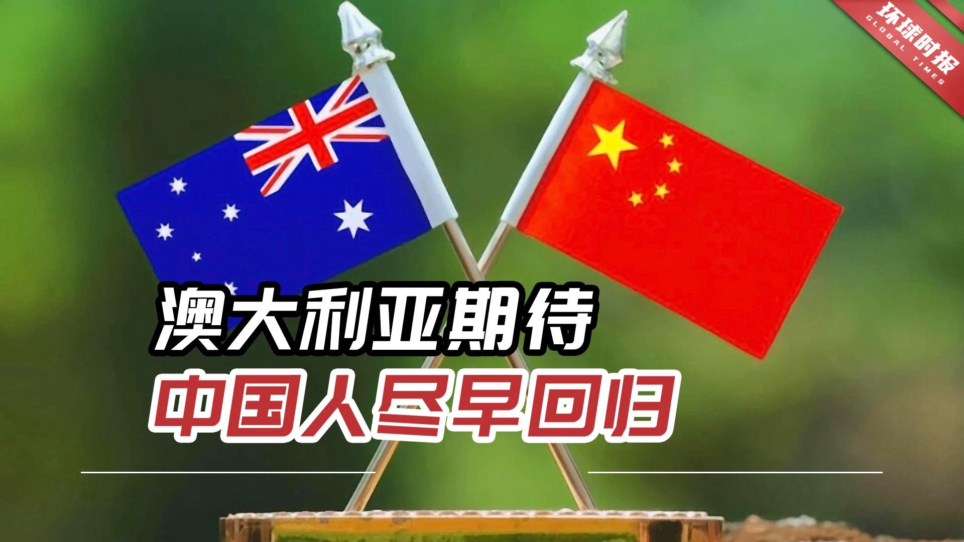 2024澳天天開好彩大全,社會(huì)責(zé)任法案實(shí)施_創(chuàng)意版92.359