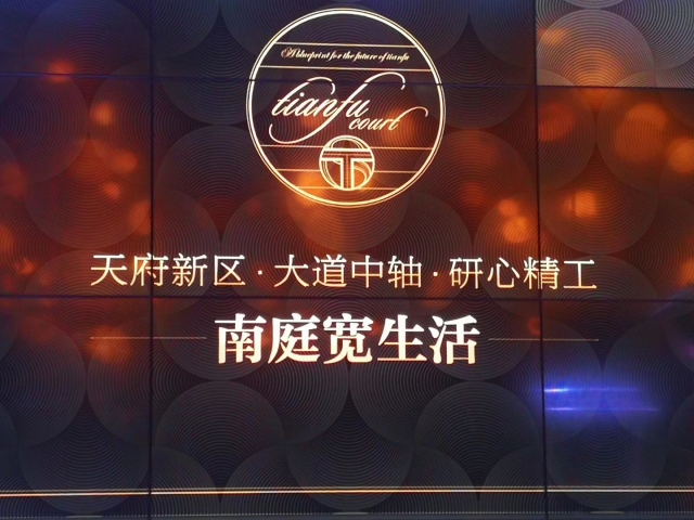 柏倉玲華最新動態(tài)，閃耀之星的光芒歷程回顧