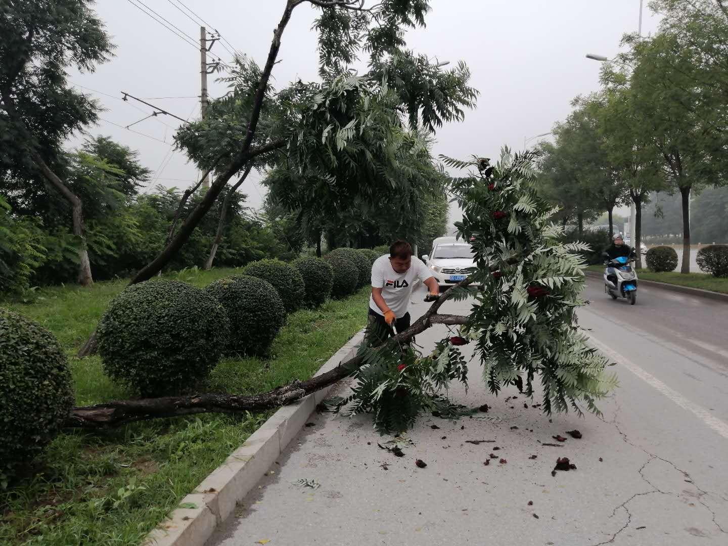 冰雹突襲下的溫馨家庭故事，最新冰雹視頻記錄瞬間時刻