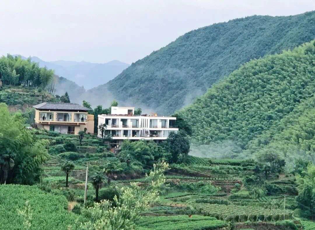 遂昌最新公告，探索自然美景之旅，尋找內(nèi)心的平和與寧靜