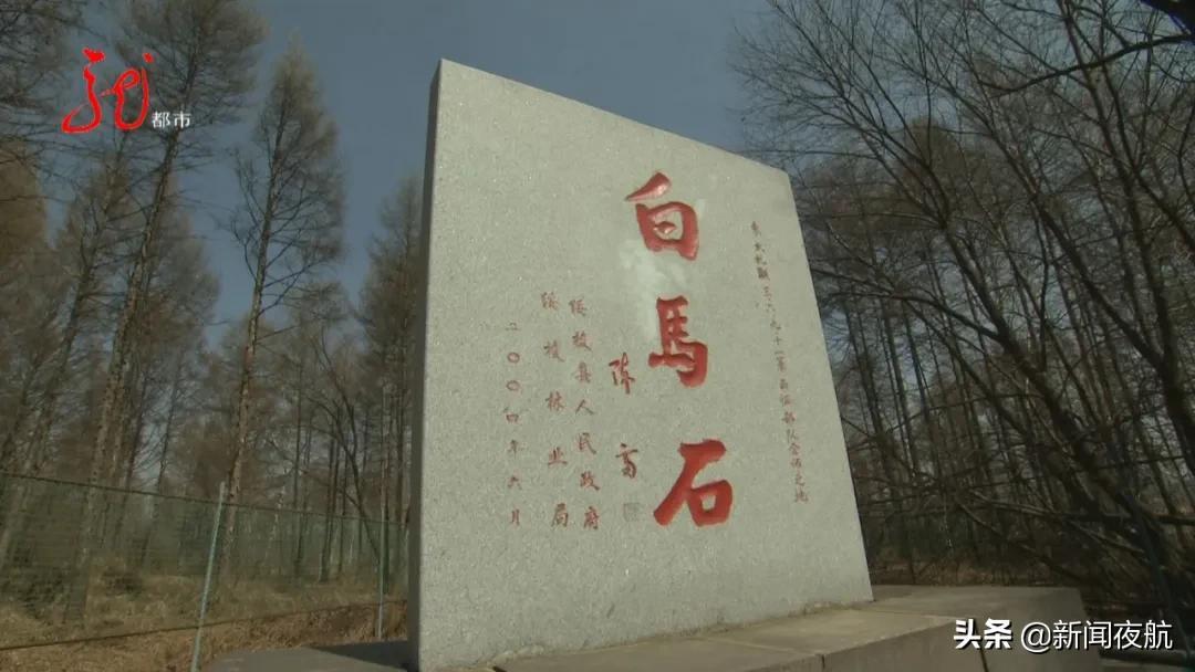 最新入關(guān)日本，一段溫馨的旅程之旅