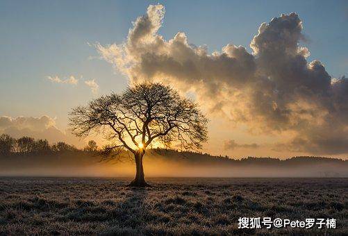 癡荊最新，自然美景之旅，探尋內(nèi)心平和與喜悅的旅程