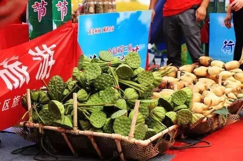 蓮藕市場行情概覽，最新行情動(dòng)態(tài)與趨勢分析