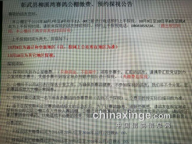 柳溪灣公棚最新通告發(fā)布