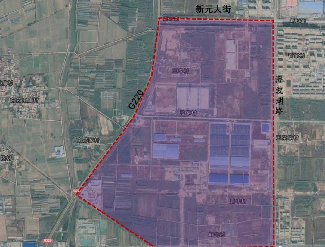 濟陽圈最新動態(tài)與資訊速遞