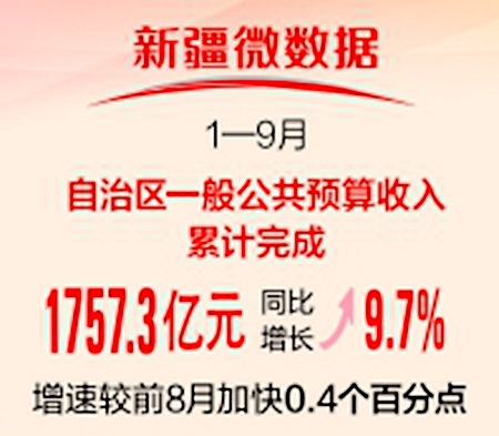 新疆最新動態(tài)與資訊速遞