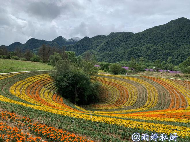 中科昊泰最新動態(tài)，探索自然美景之旅，尋求內(nèi)心平和寧靜的旅程