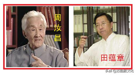 最新神召，深度解析與觀點(diǎn)闡述