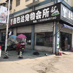 徐州寵物市場(chǎng)最新地址，科技引領(lǐng)寵物購(gòu)物新體驗(yàn)