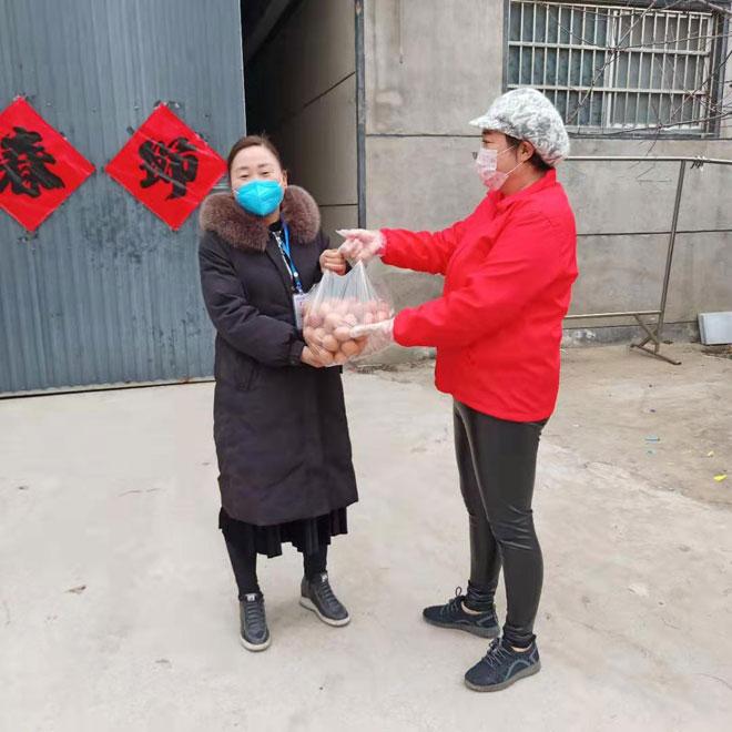 臨沂雞蛋最新批發(fā)價(jià)格新鮮出爐！