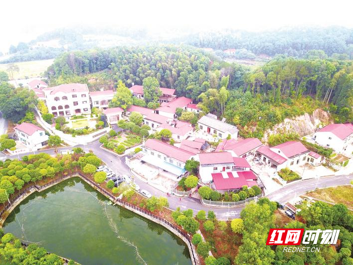 長沙縣北山鎮(zhèn)最新動態(tài)，溫馨日常的點滴記錄