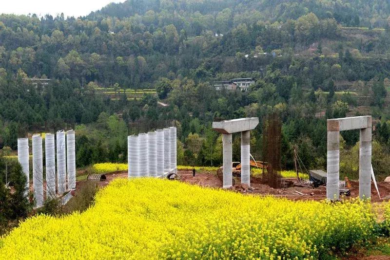 巴萬(wàn)高速公路最新動(dòng)態(tài)，時(shí)代進(jìn)步中的交通動(dòng)脈崛起