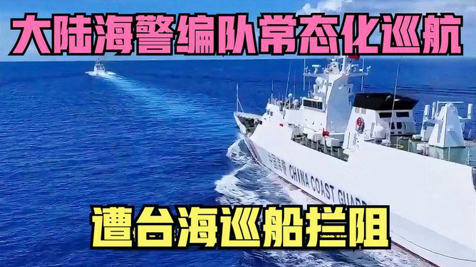 臺海最新動態(tài)，小濤的24小時更新日常