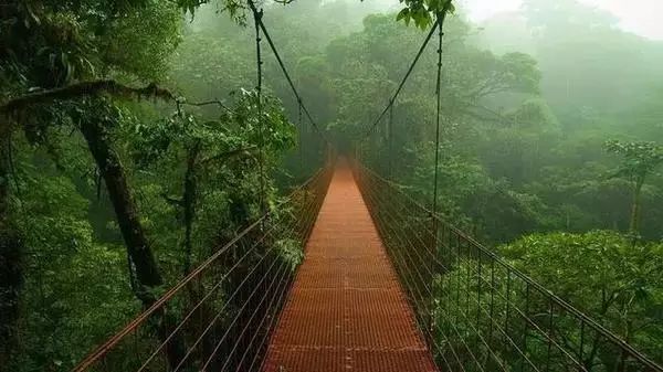 最新河道水情示意圖，自然美景的探索之旅啟動(dòng)！