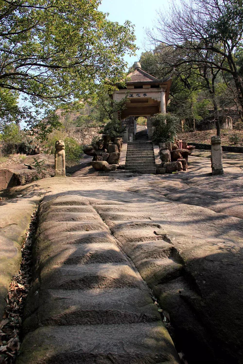 升興股份最新動(dòng)態(tài)，自然美景探索之旅的心靈洗滌與提升體驗(yàn)