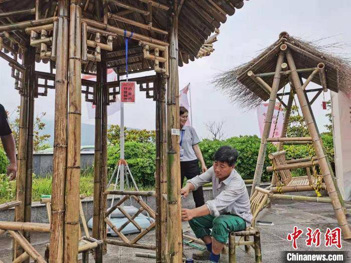 深圳地鐵12號線最新動態(tài)，啟程探索自然美景之旅