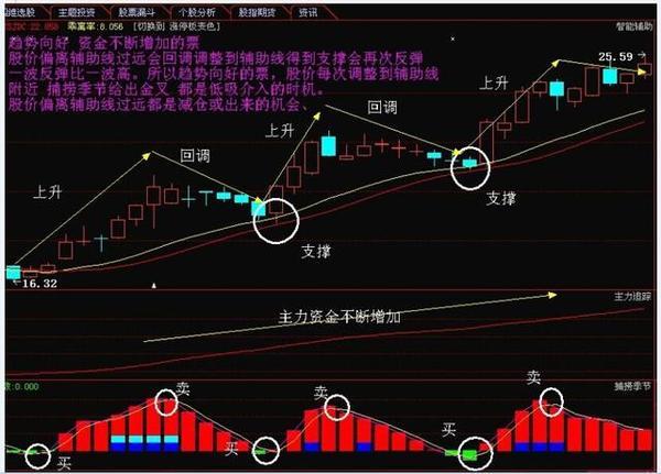 王子新材最新股票動態(tài)，自然美景的探索之旅啟程！
