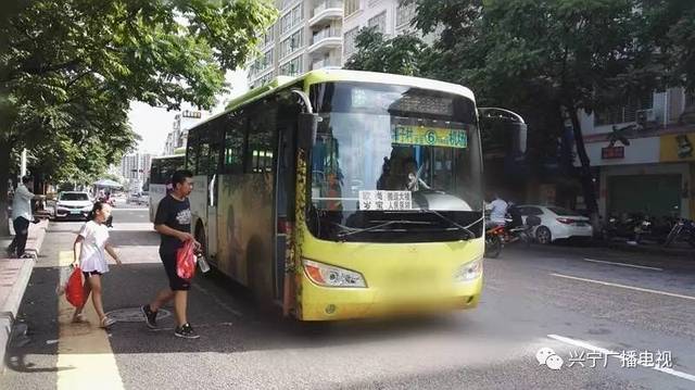 通遼最新公交車路線圖，便捷出行，掌握一圖即知
