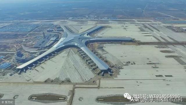 膠州飛機場最新動態(tài)，探索自然美景，尋求內(nèi)心寧靜與平和
