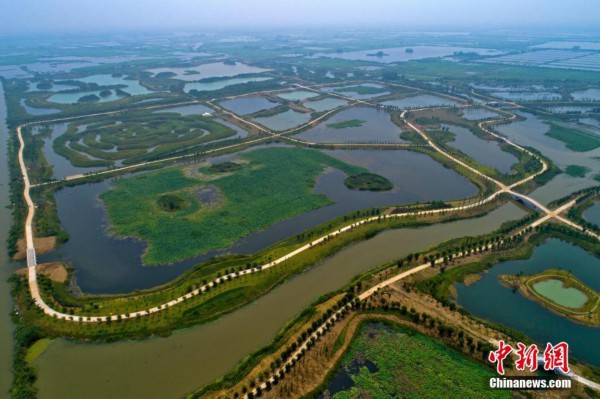 杭州白馬湖最新動態(tài)，自然美景之旅，探尋內(nèi)心寧靜與平和
