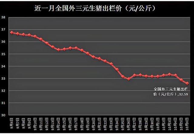 豆角價(jià)格最新動(dòng)態(tài)，市場(chǎng)走勢(shì)、影響因素與預(yù)測(cè)分析全解析