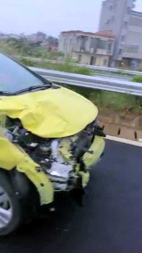 湛江車禍悲劇，日常中的意外與愛的力量