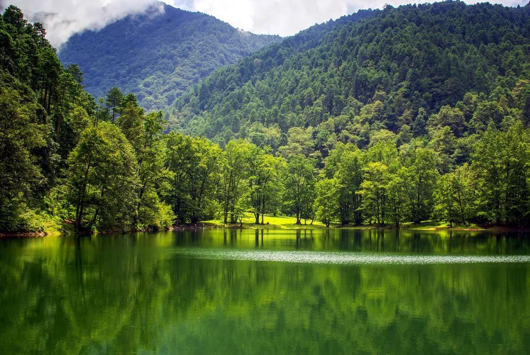 楊樹林最新電視劇，自然美景的治愈之旅探索