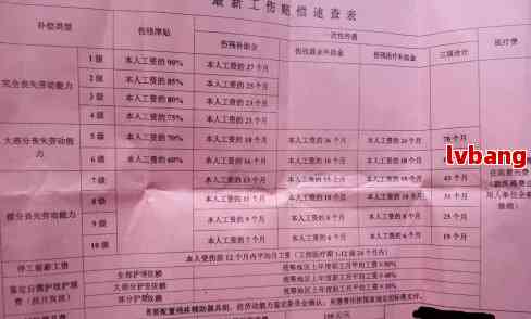 最新傷葬費(fèi)規(guī)定與探索自然美景之旅的雙重解讀