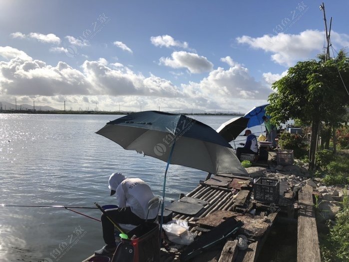 珠海最新免費(fèi)野釣地點(diǎn)大揭秘，觀點(diǎn)論述與釣魚新去處