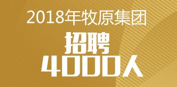 唐海最新招聘動(dòng)態(tài)，啟程探索自然美景，尋求內(nèi)心平和與寧靜