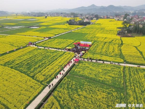 湖南益陽桃江最新新聞熱點(diǎn)解析與觀點(diǎn)闡述